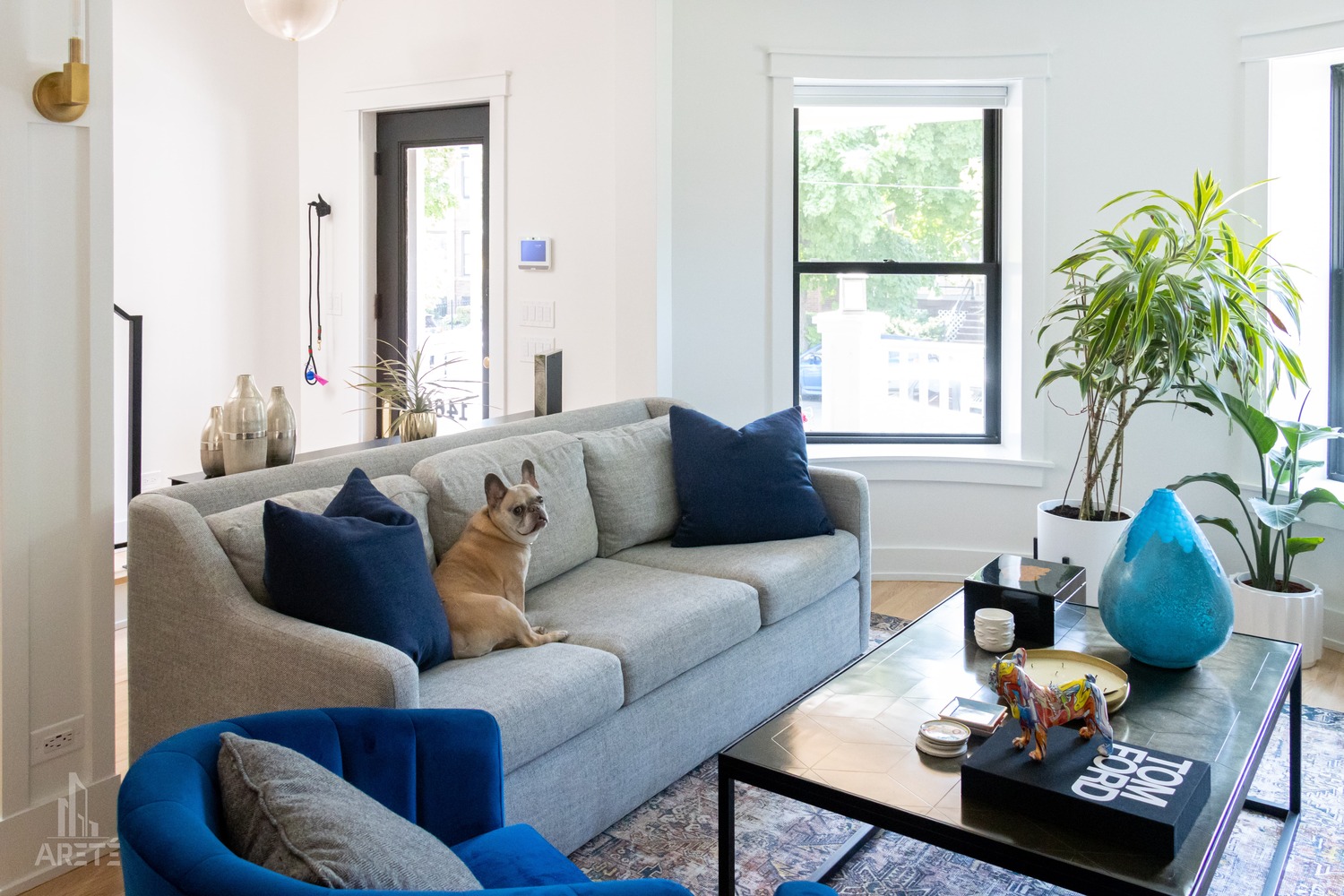 pet friendly home design